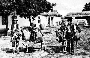 Rum�nische Hausierer mit ihren Eseln