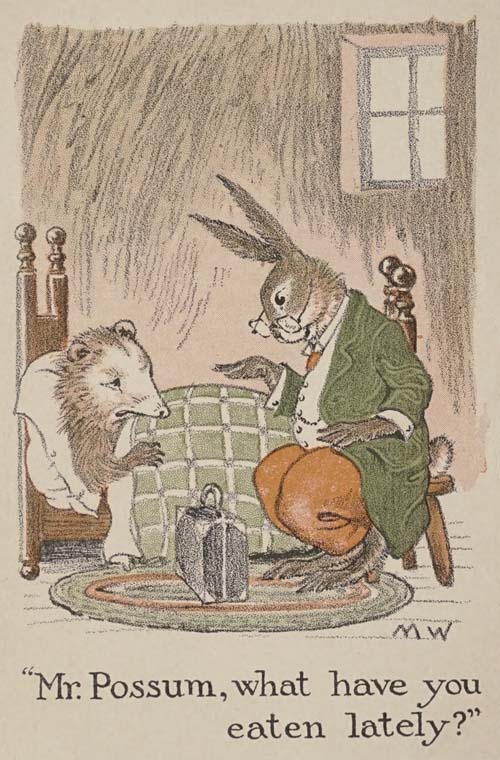 Mr. Possum, what have you
eaten lately