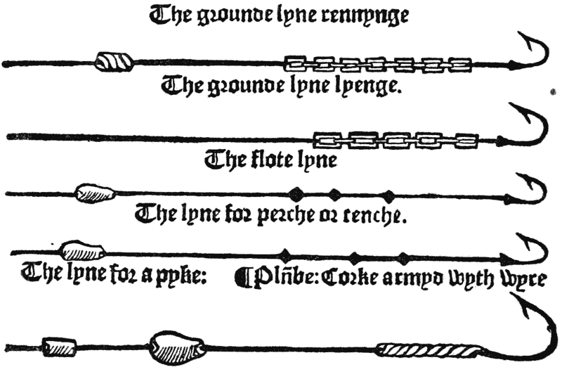  The grounde lyne rennynge
 The grounde lyne lyenge.
 The flote lyne
 The lyne for perche or tenche.
The lyne for a pyke : ¶ Pln̄be : Corke armyd wyth wyre
