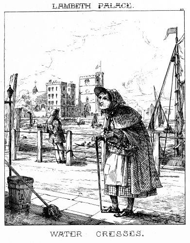 [Image unavailable: LAMBETH PALACE.

WATER CRESSES.]