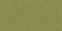 VI_31_k_Parrot_Green