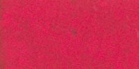XII_71___Rose_Red