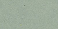 XLVII_29′′′′_d_Gnaphalium_Green