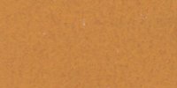 XV_15′_i_Ochraceous-Tawny