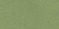 XVII_29′_i_Light_Bice_Green