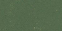 XVIII_31′_m_Varley's_Green