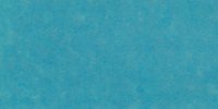 XX_43′___Motmot_Blue