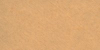 XXIX_17′′_b_Cinnamon-Buff