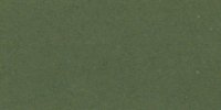 XXXI_29′′_m_Dark_Cress_Green