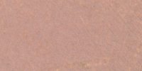 XXXIX_9′′′_b_Light_Russet-Vinaceous