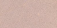 XXXIX_9′′′_d_Light_Grayish_Vinaceous