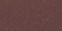 XIII_1′_m_Hay's_Maroon