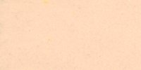 XV_13′_f_Pale_Ochraceous-Salmon