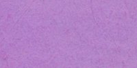 XXV_65′_b_Chinese_Violet