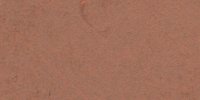 XXVIII_7′′_i_Vinaceous-Russet
