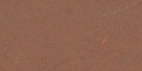 XXVIII_9′′_k_Walnut_Brown