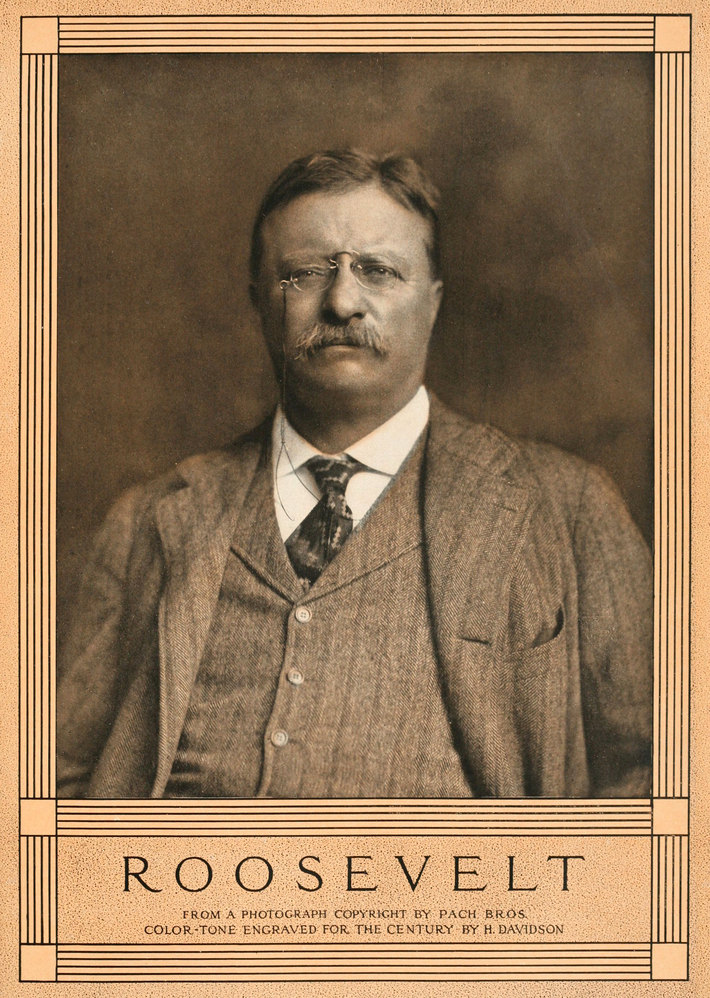 Roosevelt.
    From a photograph; copyright by Pach Bros. Color-tone engraved for
    The Century by H. Davidson