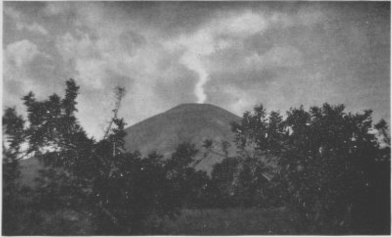 THE ABUNDANT CENTRAL-AMERICAN VOLCANOES FERTILIZE THE COFFEE
FINCAS WITH LAVA DUST