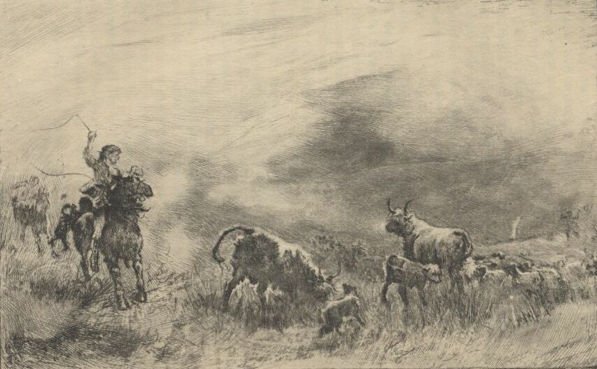 Cattle Lifting
