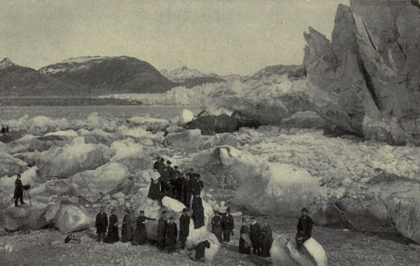 The Muir Glacier in
the Seventies, showing Ice Cliffs and Stranded Icebergs