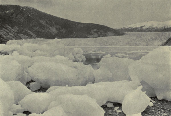 Stranded
Icebergs, Taku Glacier