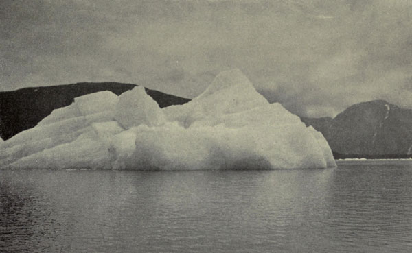 Floating
Iceberg, Taku Inlet