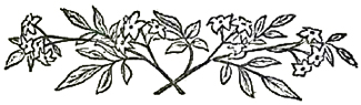 image009