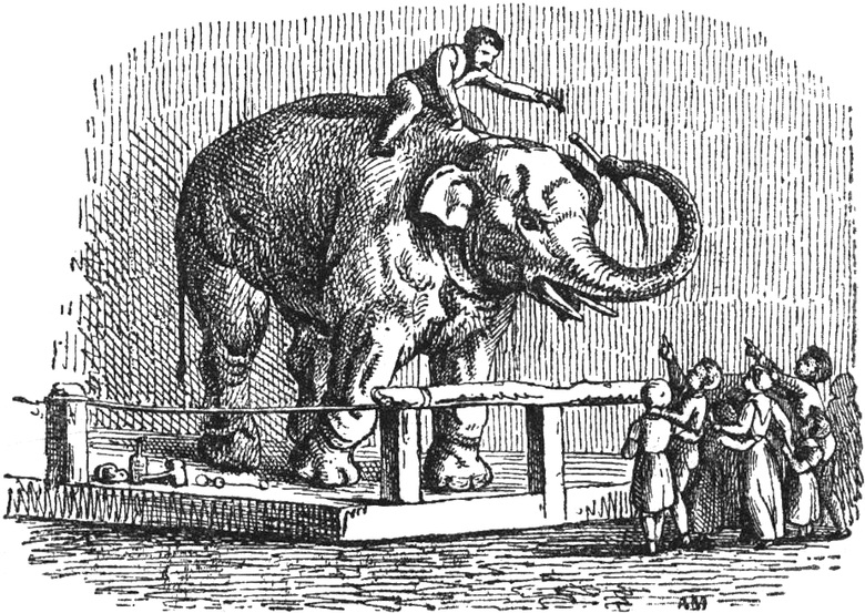 Lithographie aus 'Noch
  50 Fabeln'