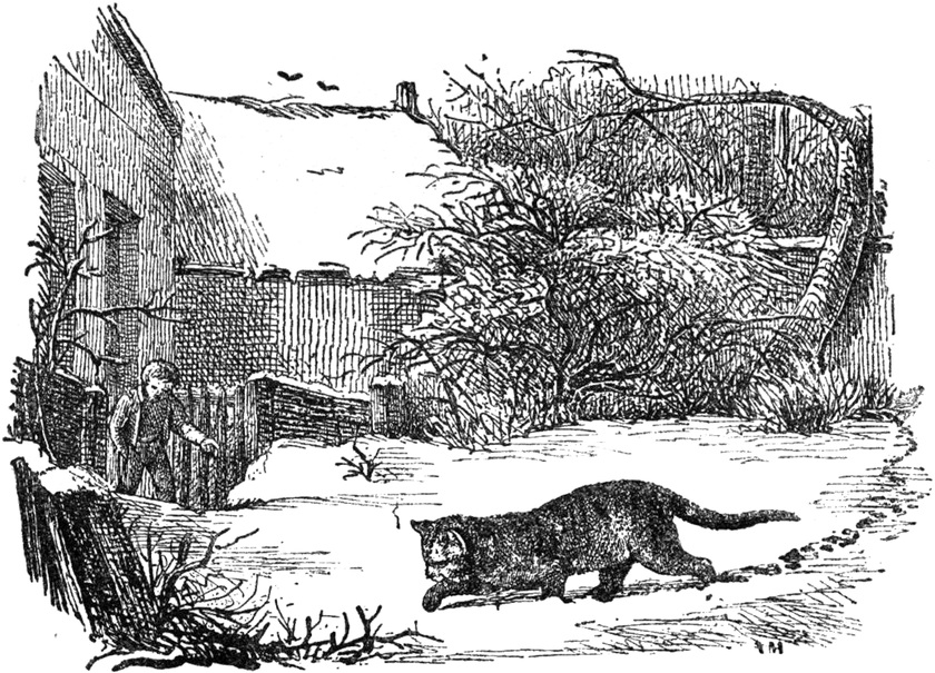 Lithographie aus 'Noch
  50 Fabeln'