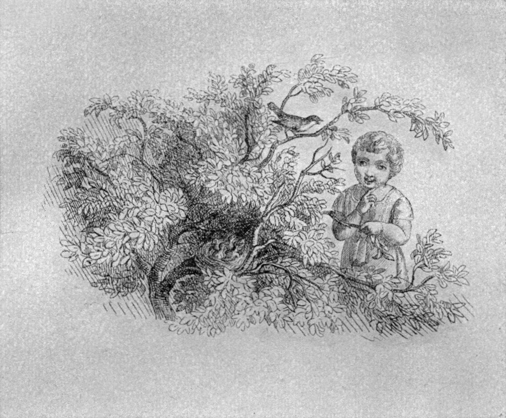Lithographie aus den
  Fabeln