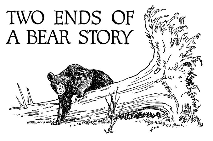 TWO ENDS OF 
A BEAR STORY