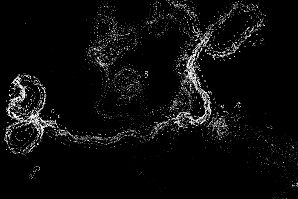 Unorientierte Bewegung bei diffusem
  Licht