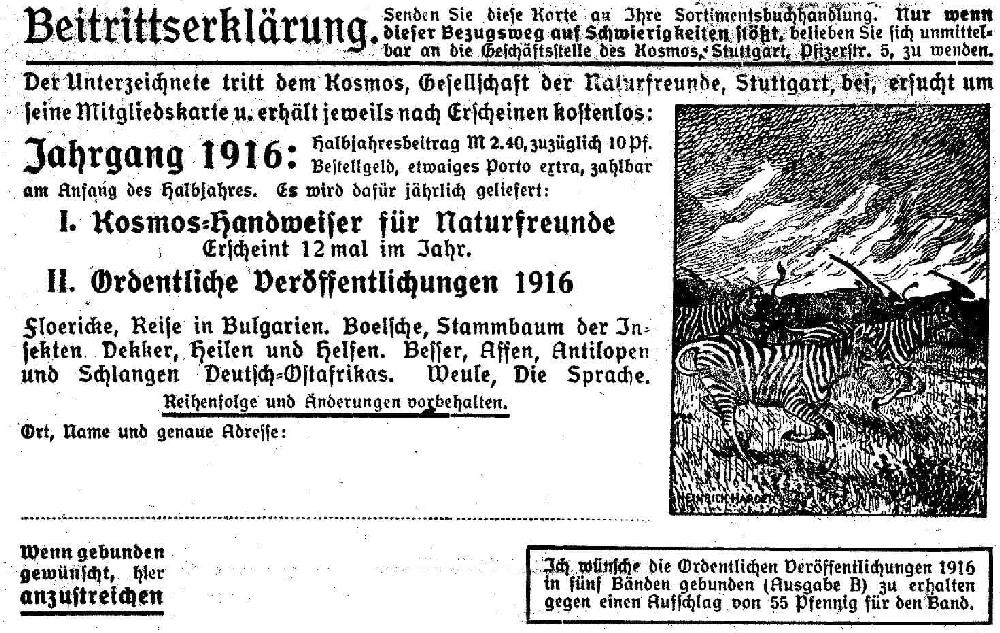 Beitrittserklärung