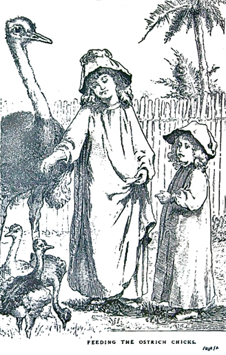 image005