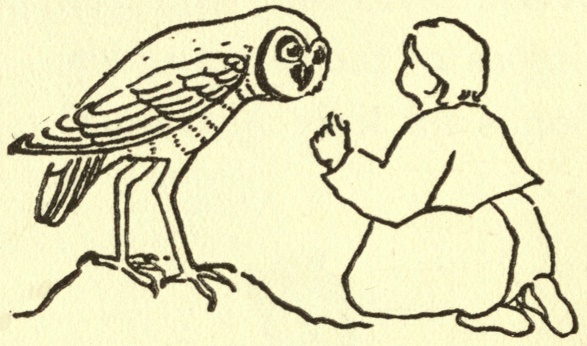Boy with owl
