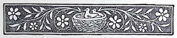 image0015