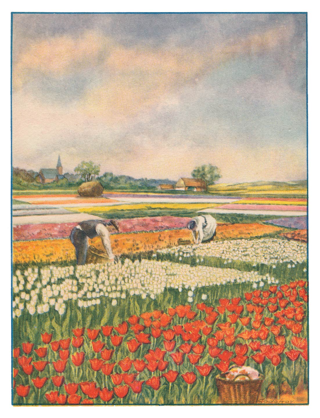 Plaat C, TULPENVELDEN