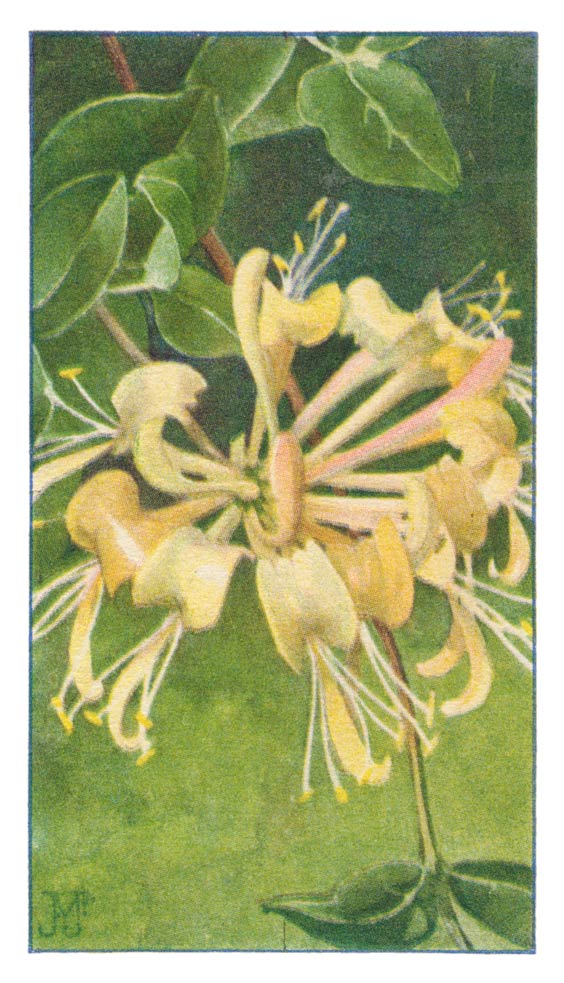 57