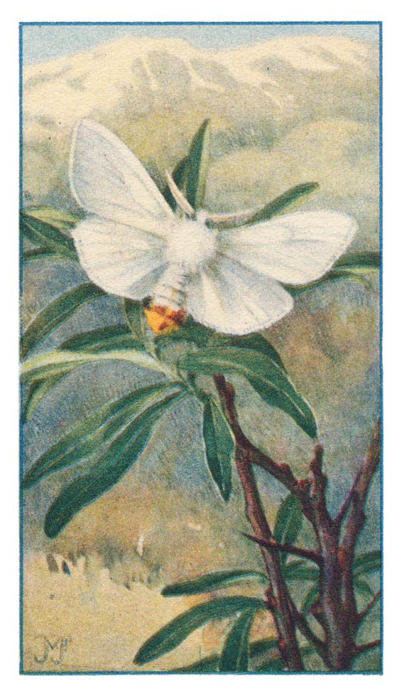 59