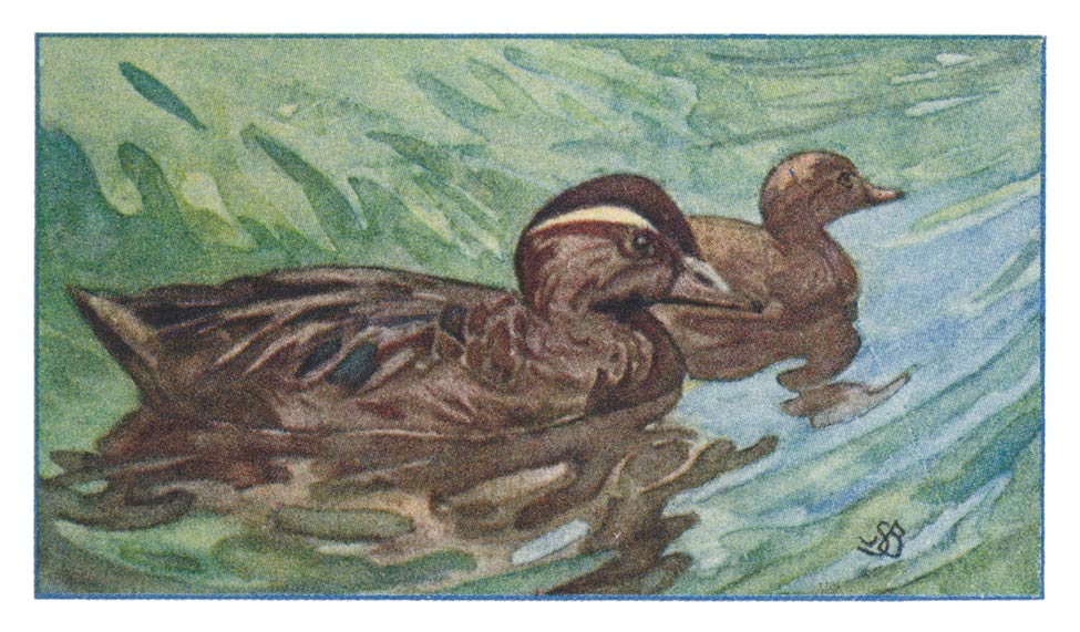 75