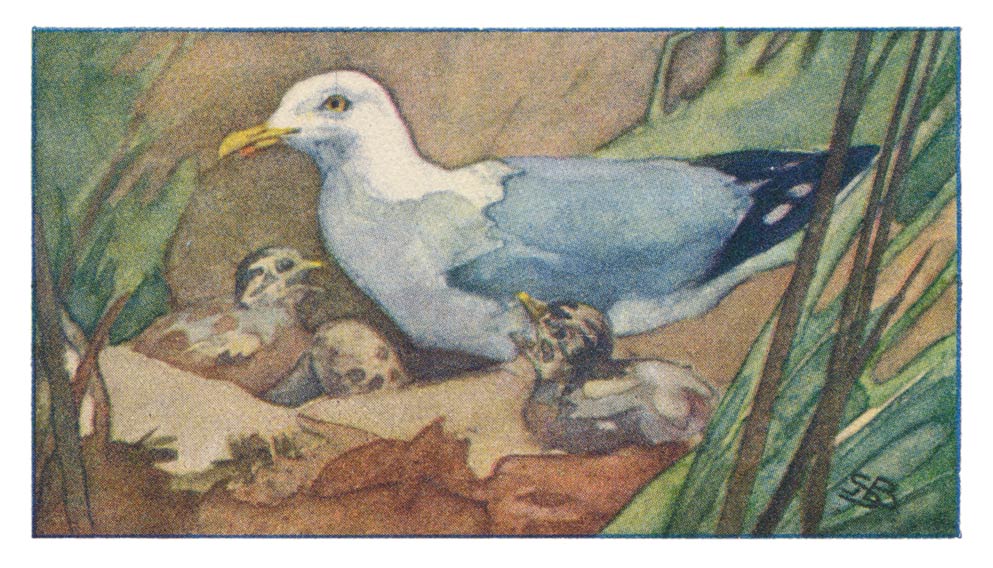 88