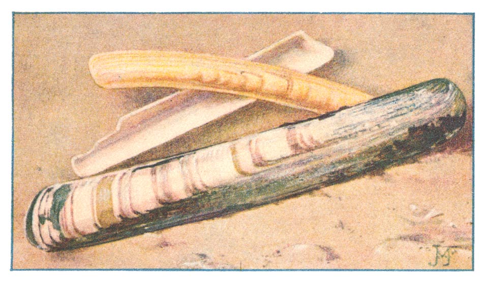 121