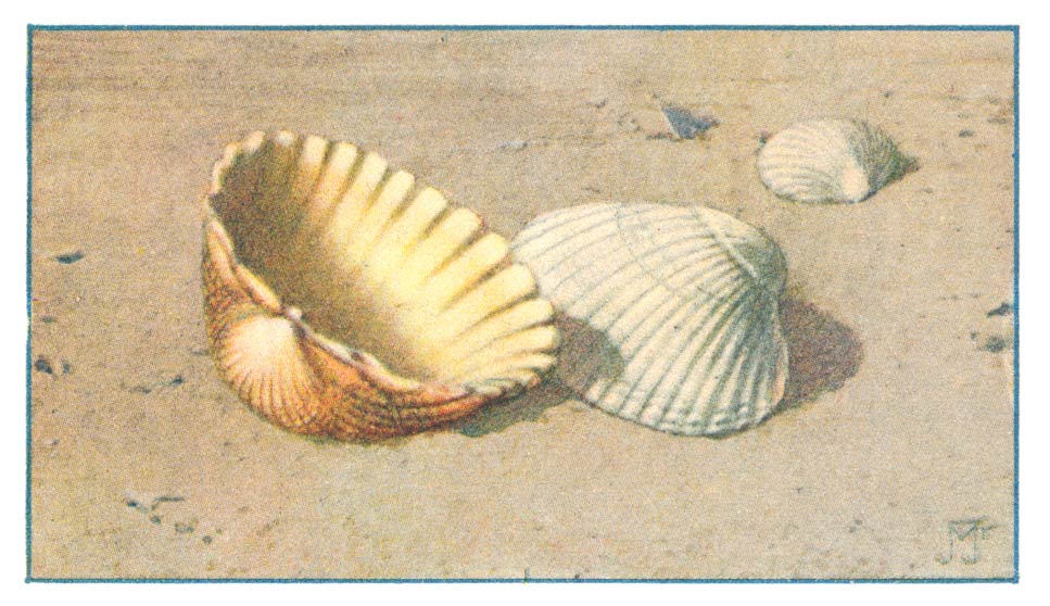 123