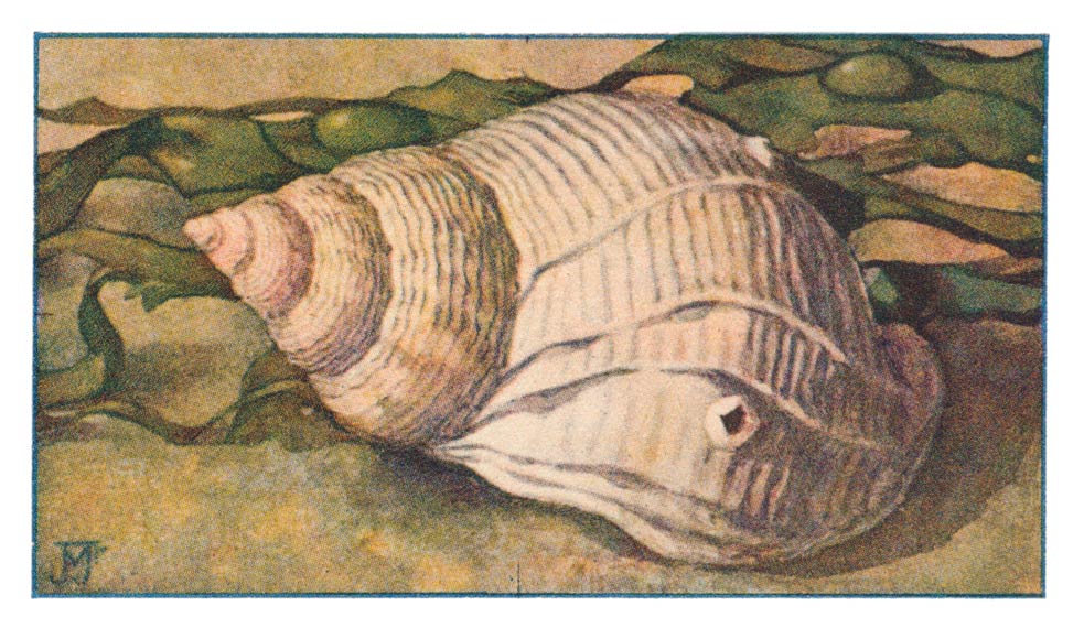 128
