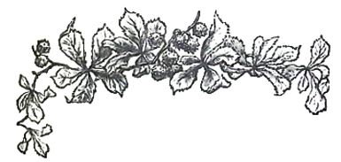 image022