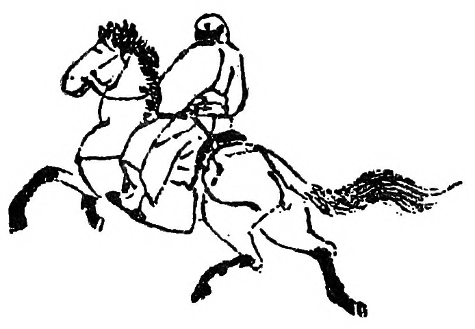 Rider on Horseback