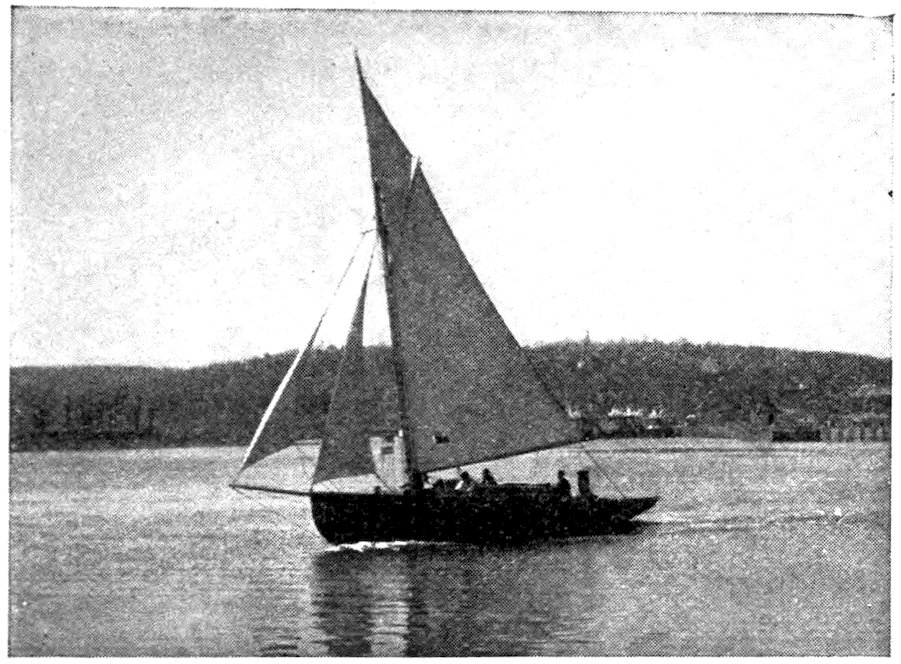 [Yacht]