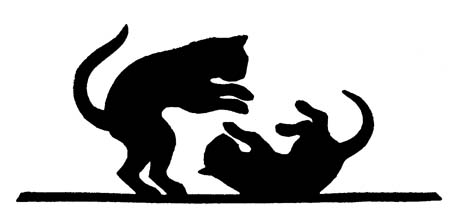 Two cats playing
