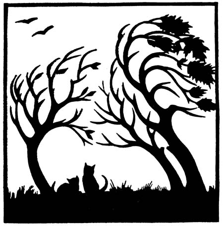 Two cats in the woods