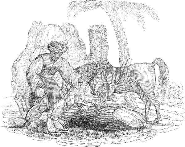 Fainting Scene
